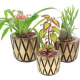 Evene Saksı Çiçek Kaktüs Saksısı Lüx 15 cm Baklava Desenli 3'lü Set Çiçeklik - Sarı
