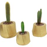 Evene Saksı Çiçek Kaktüs Saksısı Lüx 15 cm Kalın Çizgi Desenli 3'lü Set Çiçeklik