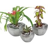 Evene Saksı Çiçek Kaktüs Saksısı Lüx 15 cm Önü Açık Desenli 3'lü Set Çiçeklik - Gümüş