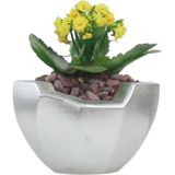 Evene Saksı Çiçek Kaktüs Saksısı Lüx 15 cm Önü Açık Desenli 3'lü Set Çiçeklik