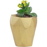 Evene Saksı Çiçek Kaktüs Saksısı Lüx 15 cm Poly Desen Saksı Çiçeklik - Gold