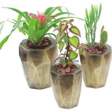 Evene Saksı Çiçek Kaktüs Saksısı Lüx 15 cm Uzun Poly Desenli 3'lü Set Çiçeklik - Altın
