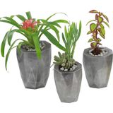 Evene Saksı Çiçek Kaktüs Saksısı Lüx 15 cm Uzun Poly Desenli 3'lü Set Çiçeklik - Gümüş