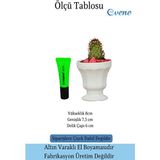 Evene Saksı Kaktüs Saksısı Dekoratif Saksı Model 1 - Beyaz