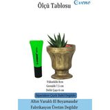 Evene Saksı Kaktüs Saksısı Dekoratif Saksı Model 1 - Siyah - Altın