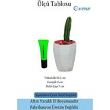Evene Saksı Kaktüs Saksısı Dekoratif Saksı Model 12 - Beyaz
