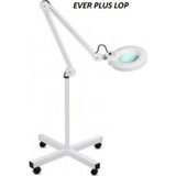 Ever Plus 5'' LED Işıklı Ayaklı Büyüteç Beyaz Renk 5X Büyütme ile Kullanım için Uygun