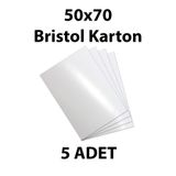 everart Bristol Kartonu 50x70 cm 5 Adet Çift Taraf Parlak Mat Yüzeyli Biristol Kağıdı
