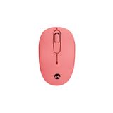 Everest & 2.4GHz Optik Wireless Kablosuz Mouse SMW-666