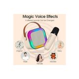 Everest Grup Kablosuz Bluetooth Hoparlör Karaoke Mikrofon 5 Ses Efektli Rgb Hd Stereo ?es Usb/Sd/FM