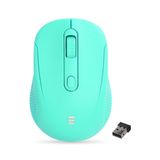 Everest SM-300 Yeşil Mouse