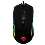 Everest SM-GX21 Starty Kablolu Rgb Optik Oyuncu Mouse