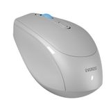 Everest SMW-87 Gri USB Nano 2.4G 1600 DPI Optik 4 Tuşlu Kablosuz Mouse