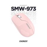 Everest Smw-973 Usb Pembe 2.4ghz Kablosuz Mouse acik-beyaz-mavi