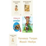 Everest Yayınları Beatrix Potter 4 - Tavşan Benjamin Masalı + Beatrix Potter 22 - Hayvan Dostlara Şiirler 2 + Ilk Kitaplarım - Araçlar (Ciltli) + Kırmızı Başlıklı Kız Kurda Karşı