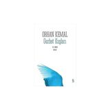 Everest Yayınları Gurbet Kuşları + Zacharius Usta (Ciltli) + Şişhane’ye Yağmur Yağıyordu + 2 Kitap Set - Hayır