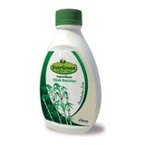Evergreen Bambular İçin Sıvı Bitki Besini 500 ml
