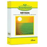 Evergreen Nevada Çim Tohumu - 1 kg - Ücretsiz Kargo