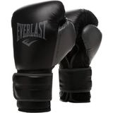 Everlast 16 OZ Powerlock Training Gloves Siyah Boks Eldiveni