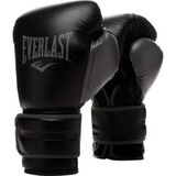 Everlast Powerlock 2R Training Gloves 12Oz Siyah Boks Eldiveni 870312-70-8