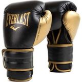 Everlast Powerlock 2r Training Gloves 12OZ Siyah Boks Eldiveni P00002662 - Renkli - Standart