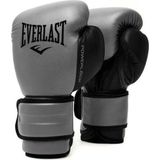 Everlast Powerlock 2R Training Gloves 14oz Gri Boks Eldiveni P00002306