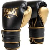Everlast Powerlock 2r Training Gloves 16OZ Siyah Boks Eldiveni P00002665 - Renkli - 16 oz