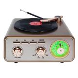Everton Rt-713 Özel Plak Tasarım Klasik Retro Nostalji Bluetooth/Usb/Sd/ Radyo Mp3 Player Müzik Kutusu