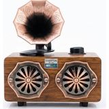 Everton RT-744 Bluetooth Fm-Usb-Tf-Aux Şarjlı Nostaljik Radyo - Çok Renkli