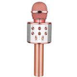 Evervox Ws858 Karaoke Mikrofon
