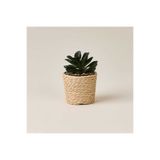 Evidea Deco Hasır Saksı Yapay Sukulent - Bej / Yeşil - 10x6 cm