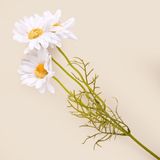 Evidea | Evidea Deco Papatya Yapay Dal Çiçek - Beyaz - 47 cm