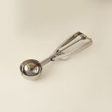Evidea | Metaltex Inox Profesyonel Dondurma Kaşığı - Gri - 25 cm