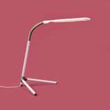 Evidea | Yegoor Usb Led Masa Lambası - Beyaz
