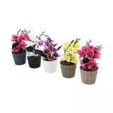 Evidecor Orkide Yapay Çiçek (Plastik Saksı)- 30'Li Paket