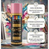 Evim 365 Sprey Boya 200ML - Pembe