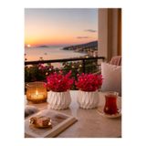 Evim de Evim 2 li beyaz prizma saksı ve yapay bitki pembe okaliptus