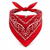 evimdeyokyok Evimdeyokyok Kırmızı Kovboy Fuları Çocuk Bandana Western Desenli Boyun Fuları Çok Renkli