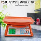 Evist Plt Power ACS-805 ( Küçük ) Dijital Karpuz Terazi Tartı ( 40KG / 2gr ) ( 30X13X30CM ) - Turuncu - Mavi