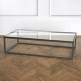 Evka Potrica Metal Siyah Ayak Şeffaf Cam Tabla Orta Sehpa