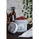 Evle ER004-6I Saklama Kabı