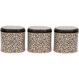 Evle ERB07V4 Oval Metal Saklama Kabı Seti