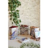 EVLE Erb36u5 Dikdörtgen Saklama Kabı 8 X 12 X 12 Cm, 3 Lü Set, Kint Sugi