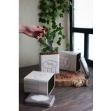 EVLE Erb36u6 Dikdörtgen Saklama Kabı 8 X 12 X 12 Cm, 3 Lü Set, Retro