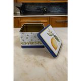 EVLE Limon Desenli Kare Metal Saklama Kabı 15.8 x 15.8 x 8.7 cm, 2.2 lt