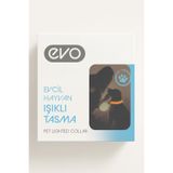 Evo Işıklı Köpek Tasması