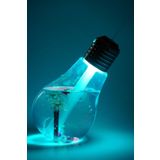 EvoAir Nanopro Ampul Şekilli Oda/hava Nemlendirici Buharlı 7 Led Işıklı Gece Lambası&oto Kokusu Hediyeli