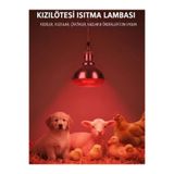 Evonest Infrared Ana Kucağı Isıtıcı Lamba 150W | Yüksek Performanslı
