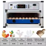 Evonest Kaz Uyumlu Kabin Tip Kuluçka Makinesi | 64 Yumurtalık Kapasiteli
