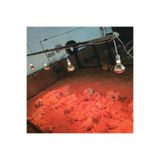 Evonest Kümes Isıtıcı Set | 1x250W Infrared Isıtıcı, Dijital Termostat ve 1 Aydınlatma